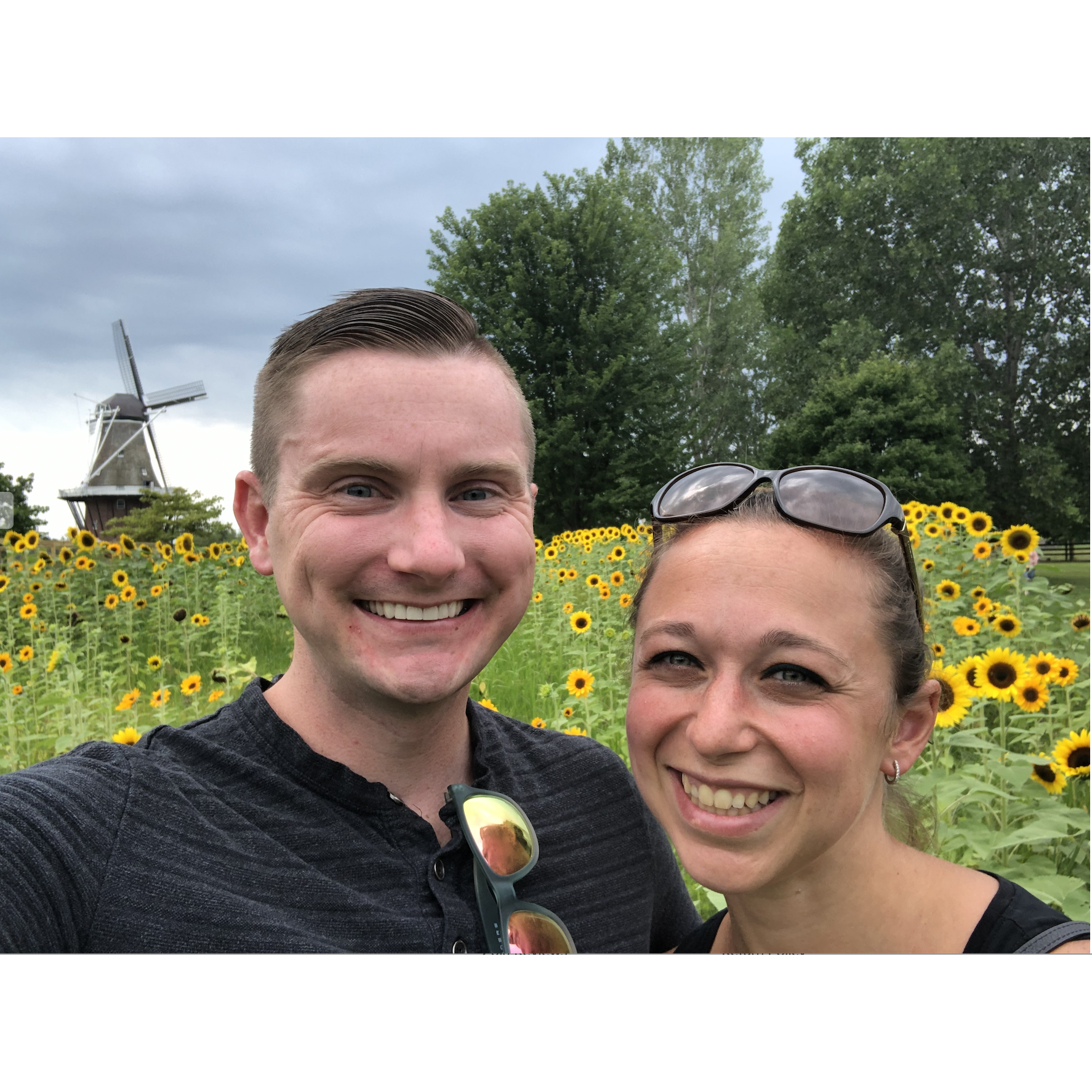 The sunflowers are as bright as our love!