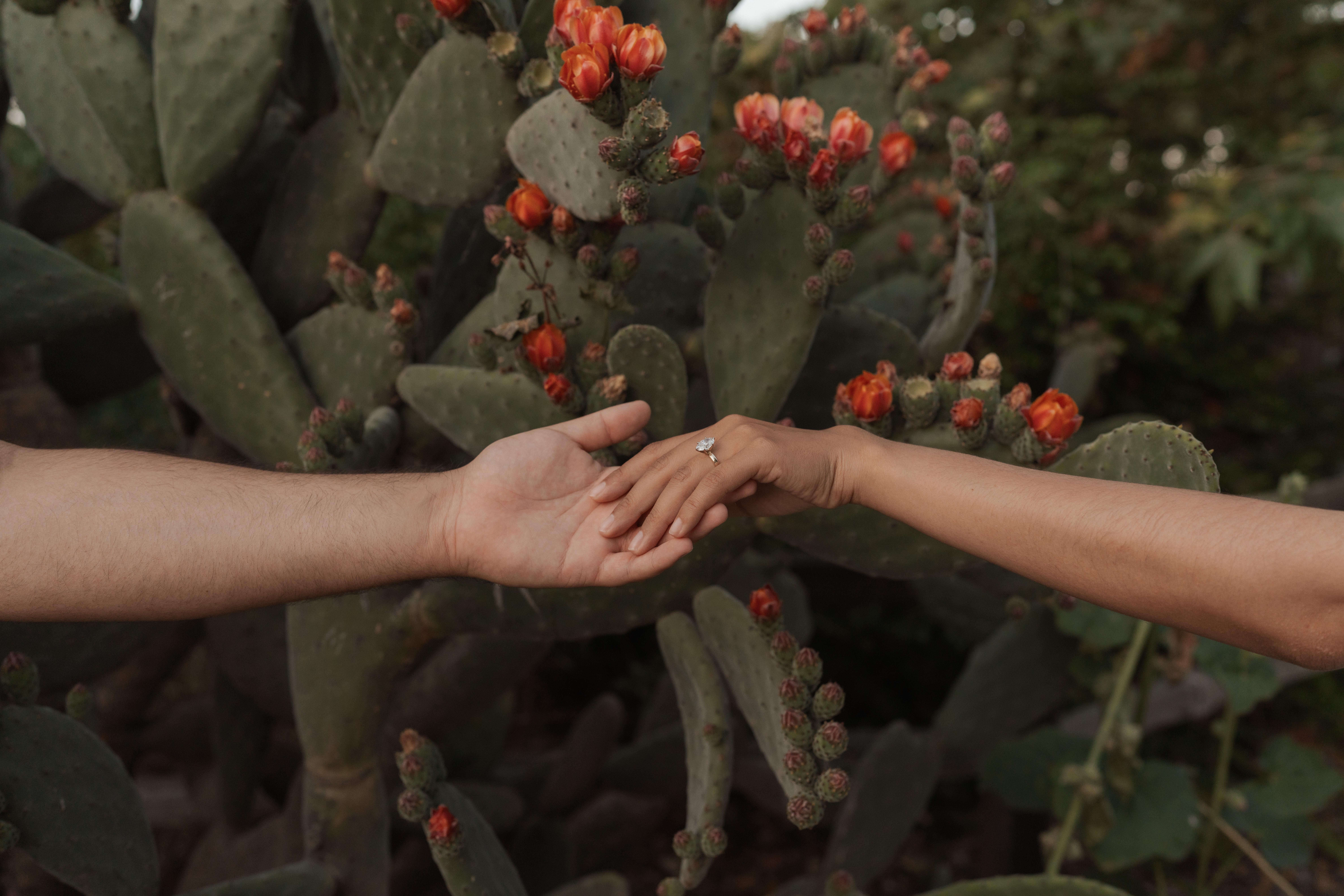 The Wedding Website of Liliana Larios and Anthony Contreras