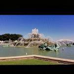 Buckingham Fountain Flower Gardens