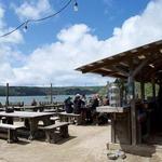 Hog Island Oyster Co.