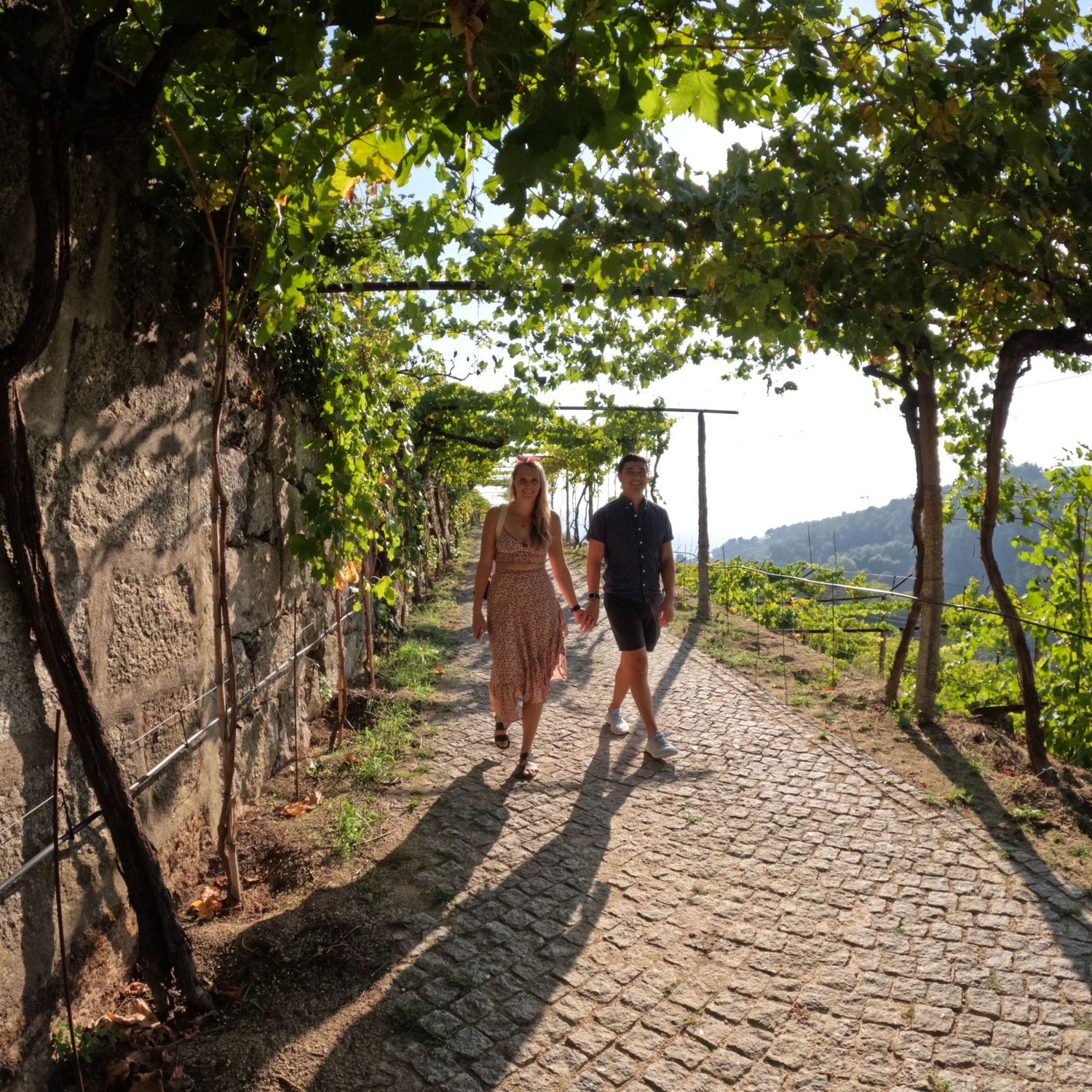 Wine tasting in Portugal