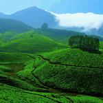 Munnar