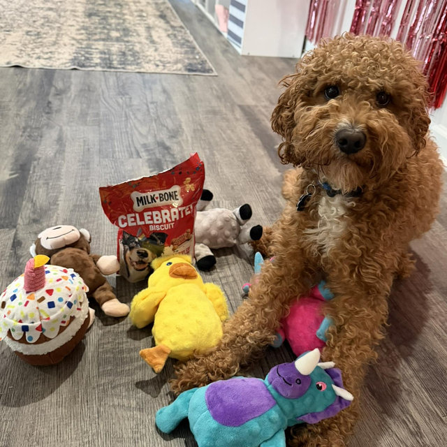 Year Supply of goodies for Oakley