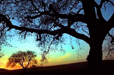 The Wedding Website of Autumn Brooke  Forschler and Chadwick Frazier Singer