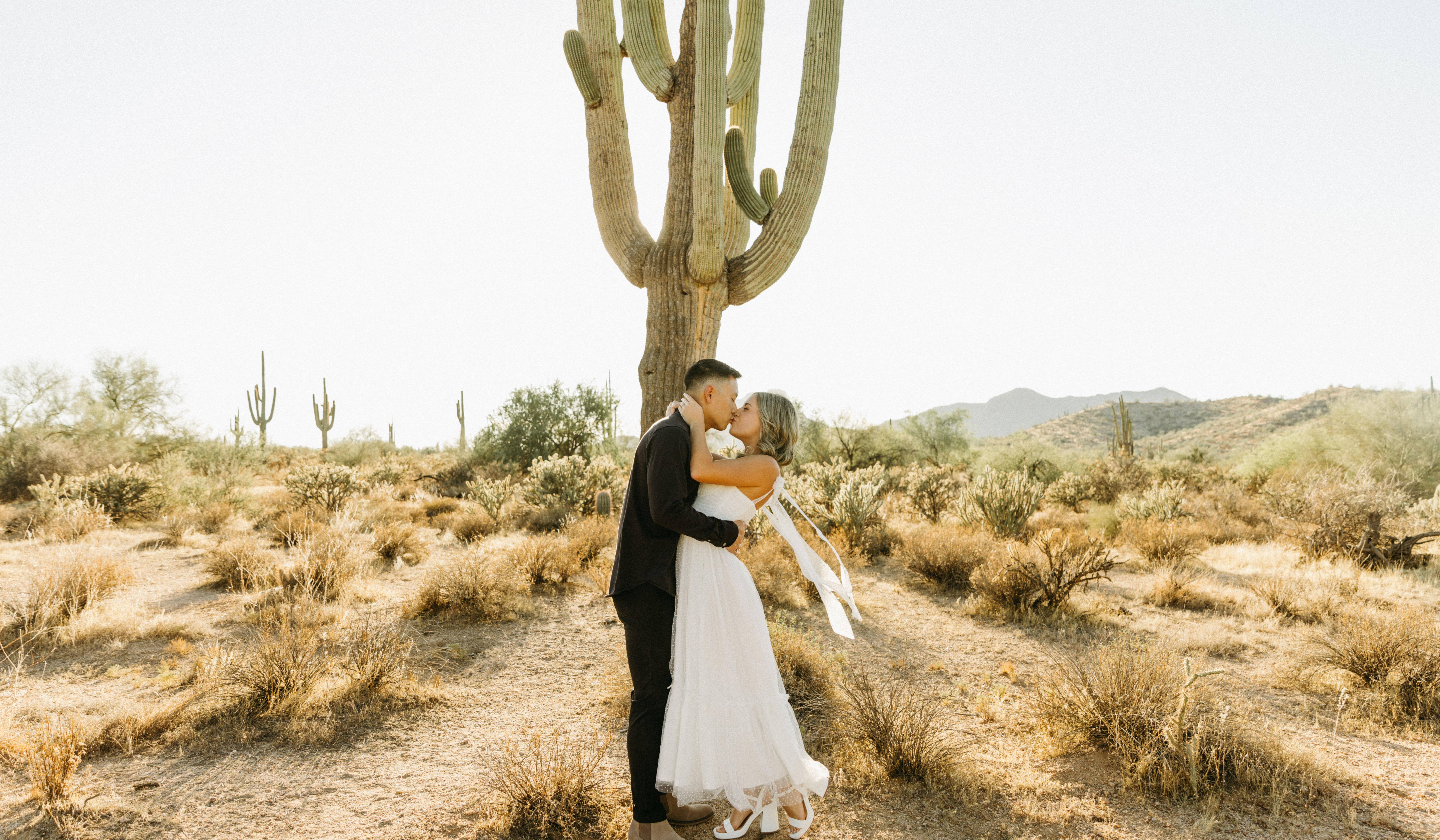 Hero Slideshow Image 2