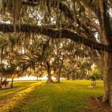 Mandeville Lakefront