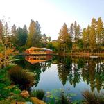 Starfield Vineyards & Winery