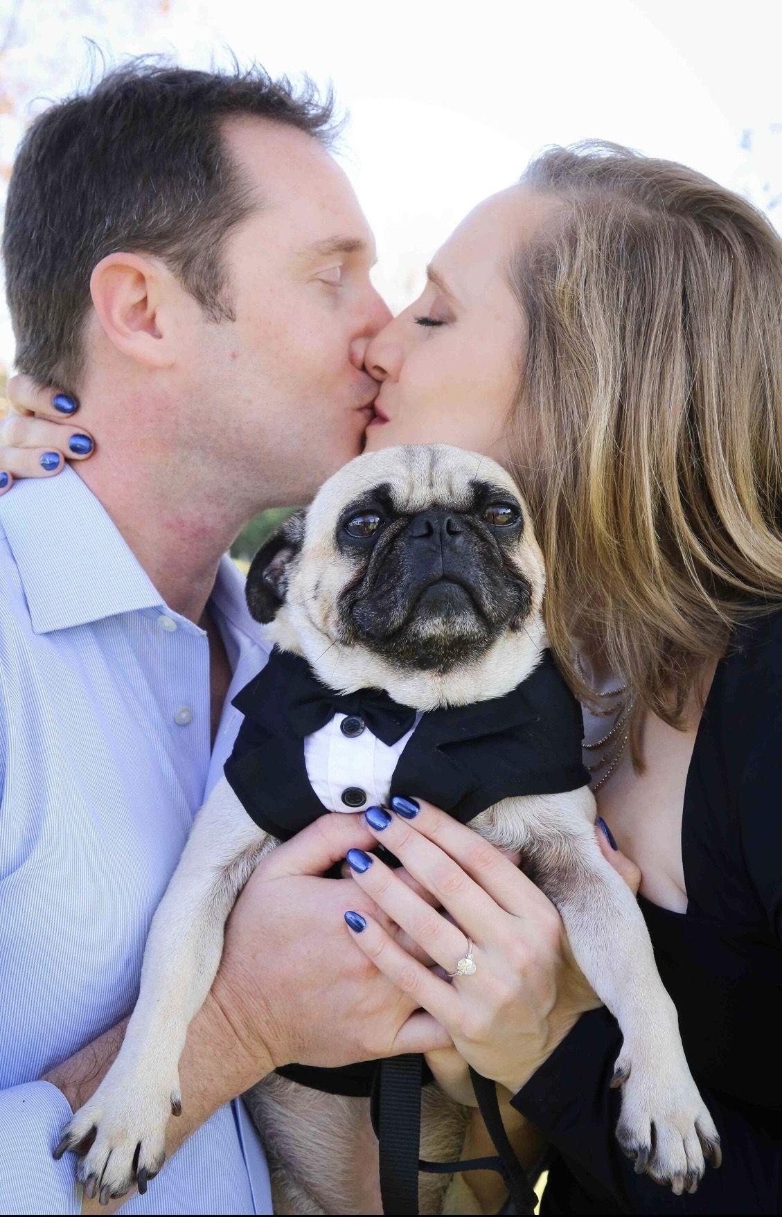 The Wedding Website of Laura Waters and Sean Lewellyn