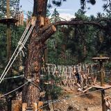 Treehouse Adventure Park