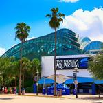 The Florida Aquarium