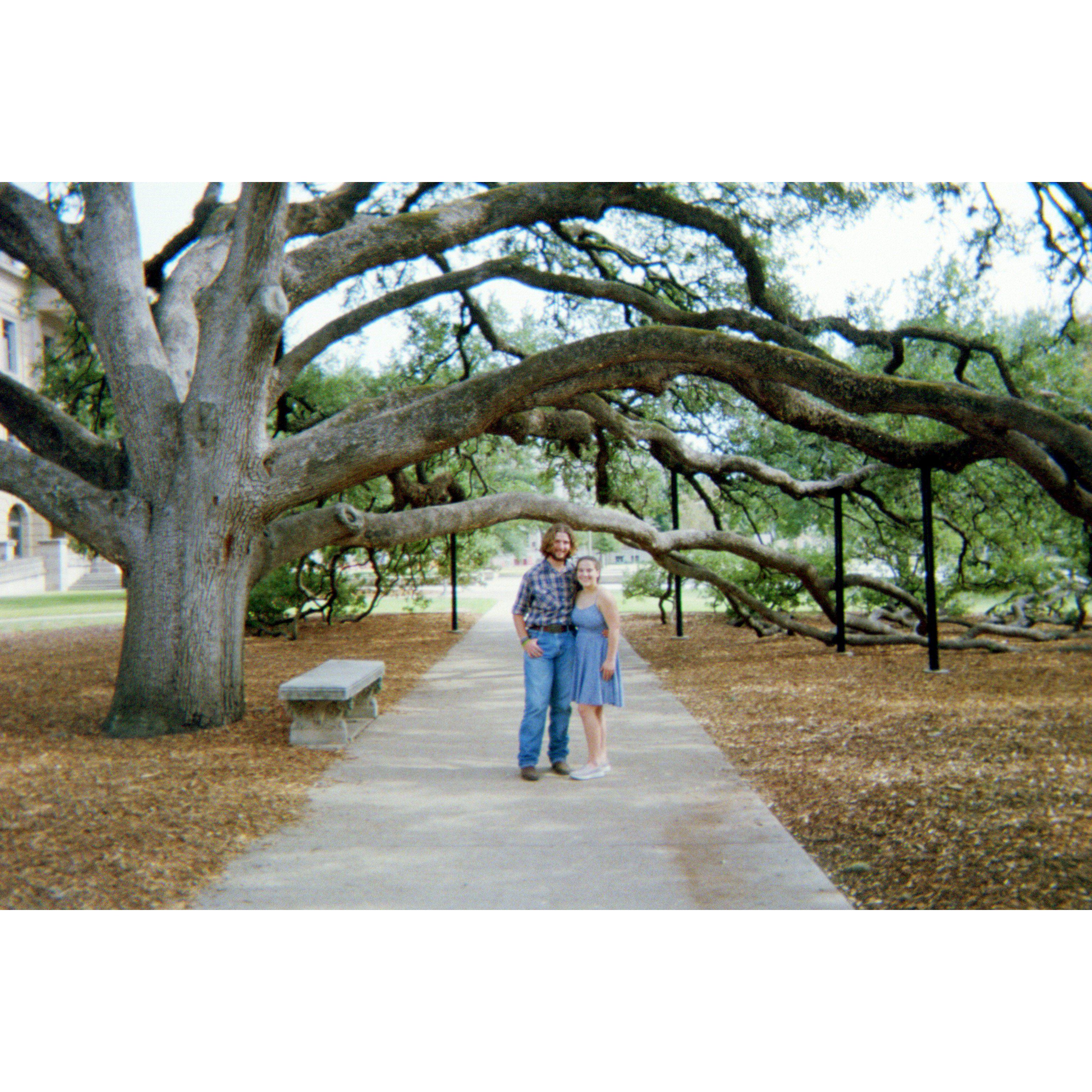 We walked under the Century Tree on our first anniversary! At Texas A&M, walking under this tree with your partner means you'll be together forever.