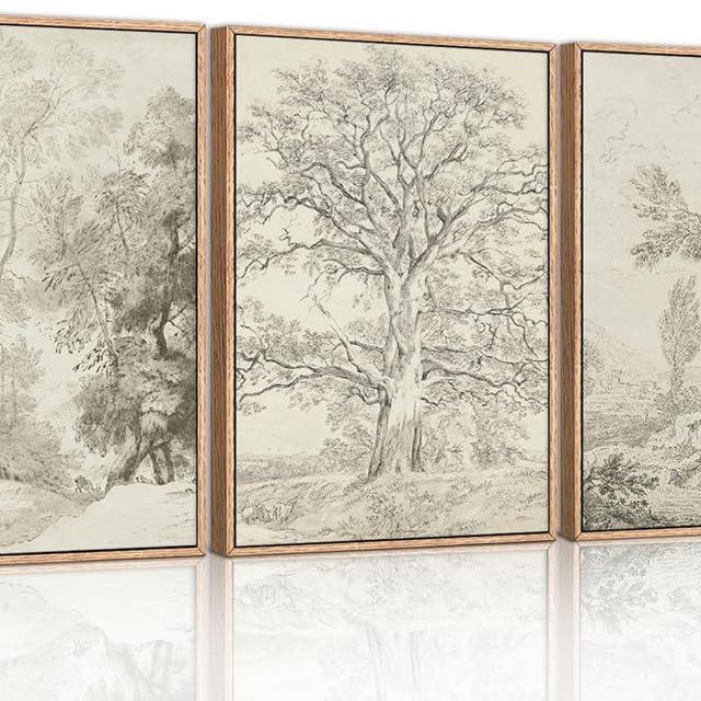 Ausril Vintage Sketchbook Forest Framed Canvas Wall Art Set, Neutral Minimalist Tree Wall Decor, Wilderness Illustration Wall Painting, Retro Botanical Art Print Living Room, Office 16"x24"x3