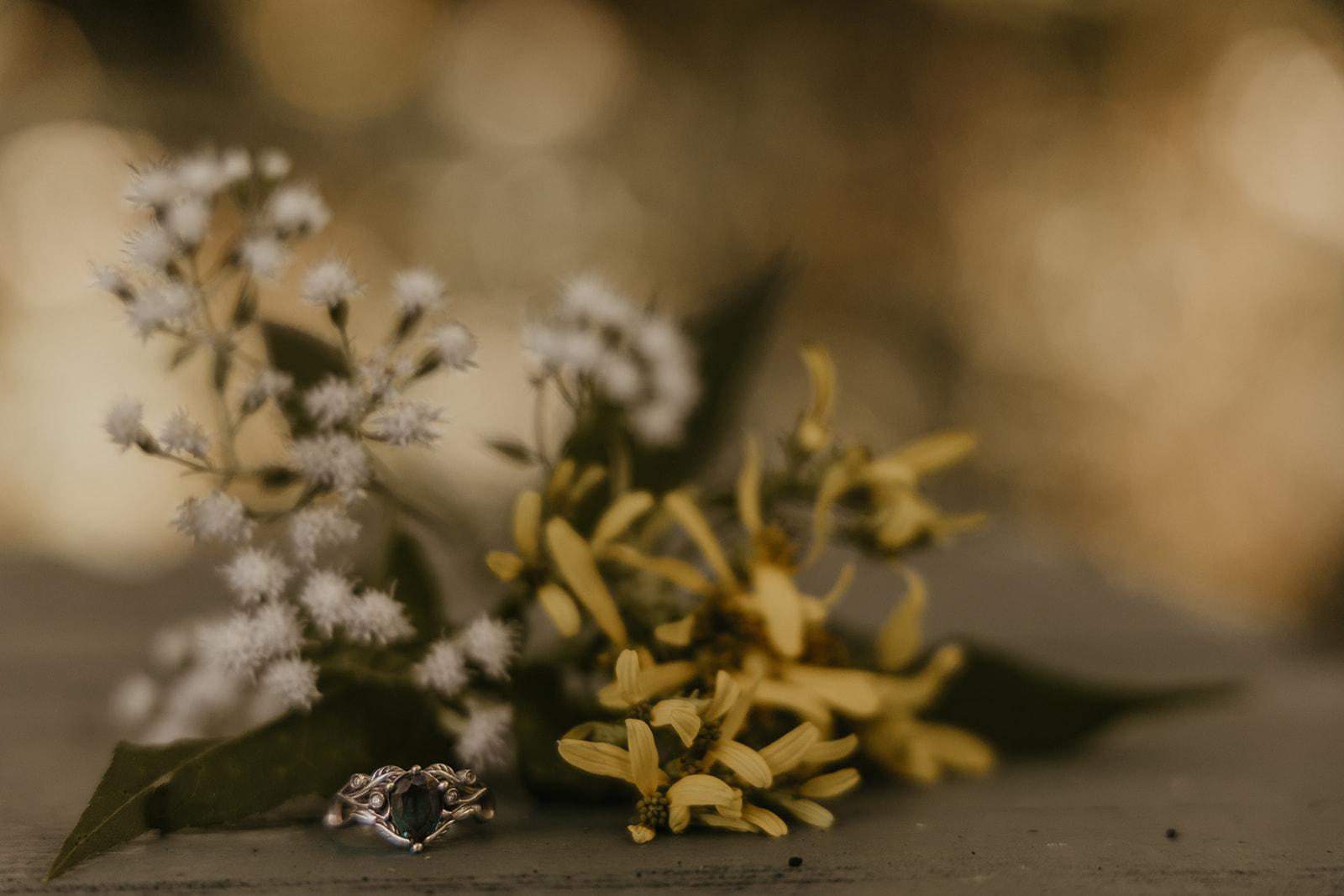 The Wedding Website of Matt Fields and Andréa Gonzalez