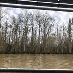 Cajun Encounters Tour Company