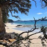 Hidden Cove
