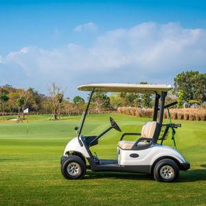 Cody's Golf Cart Fund