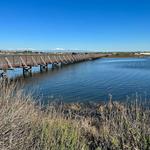 Bolsa Chica Wetlands West Trailhead