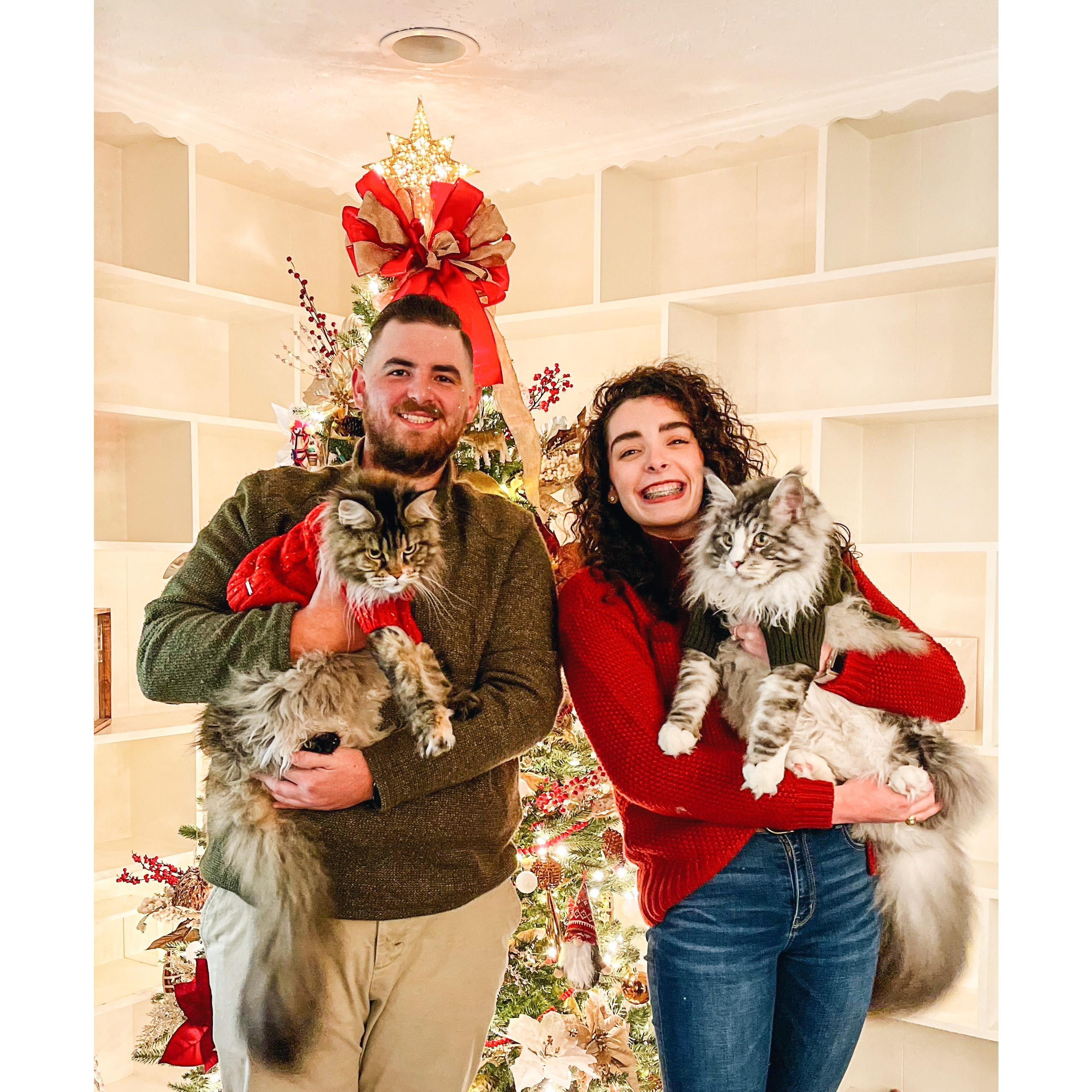 Our purrfect little family.