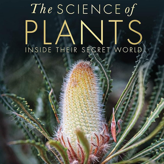 The Science of Plants: Inside Their Secret World (DK Secret World Encyclopedias)