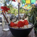 ORGANI-K Sayulita