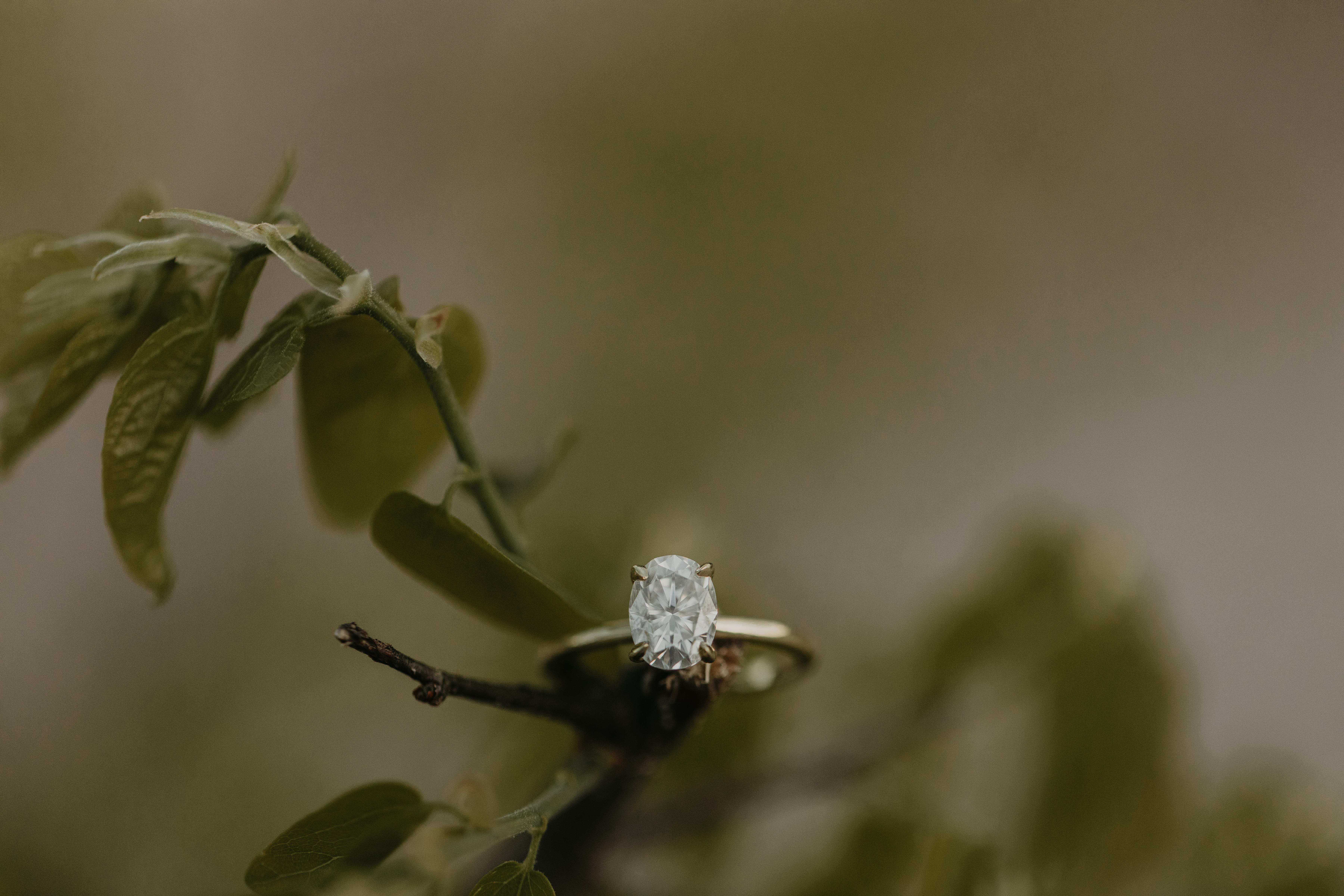 The Wedding Website of Montana Yates and Jared McDermott