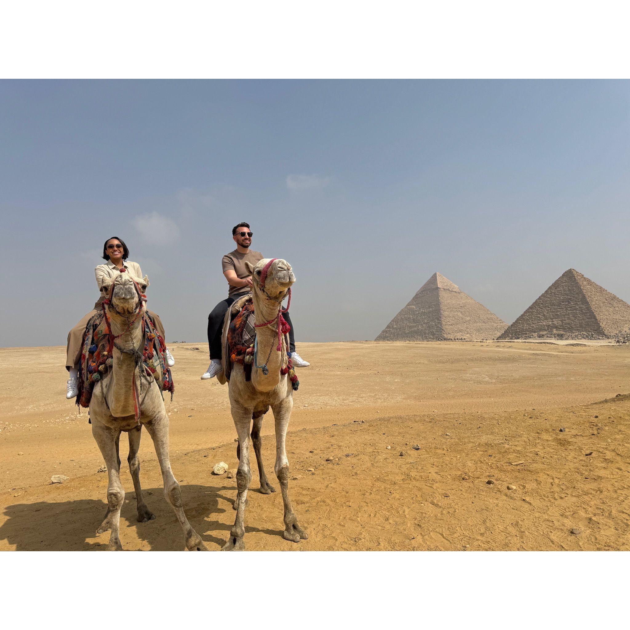 Camel rides by the pyramids!