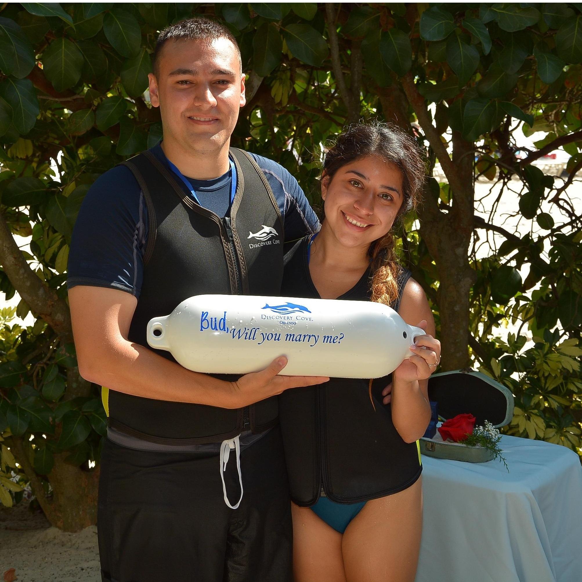 Our Engagement at discovery cove