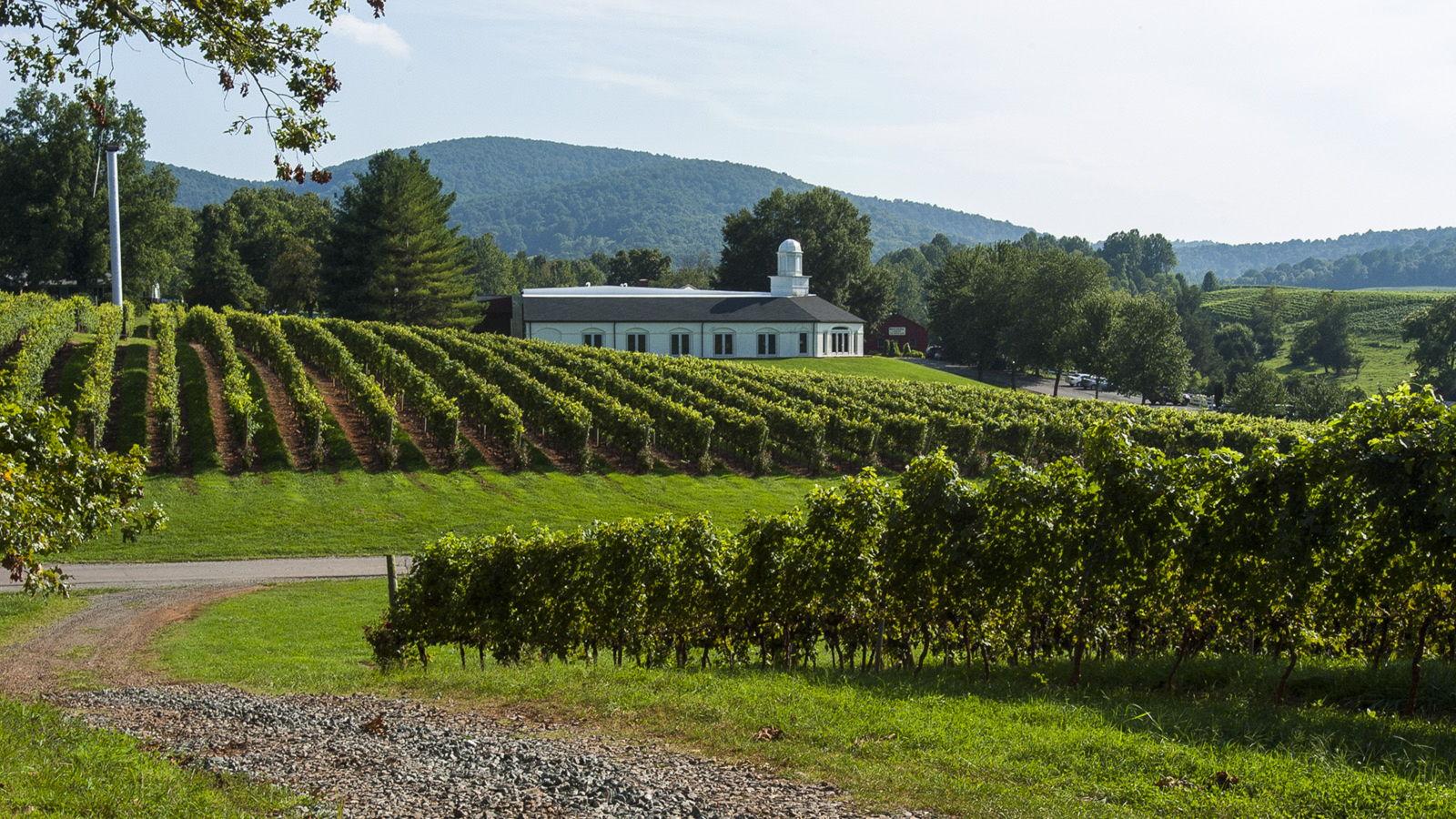 The Wedding Website of Ashley Morris and Ted Schoenborn