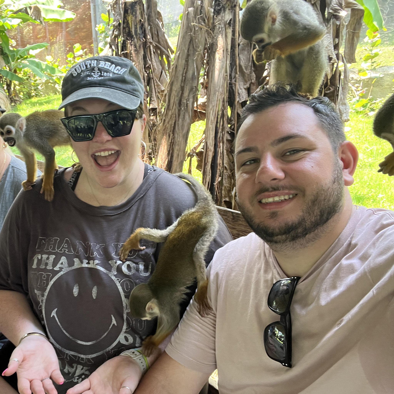 May 2024 - Monkeying around in Dominican Republic