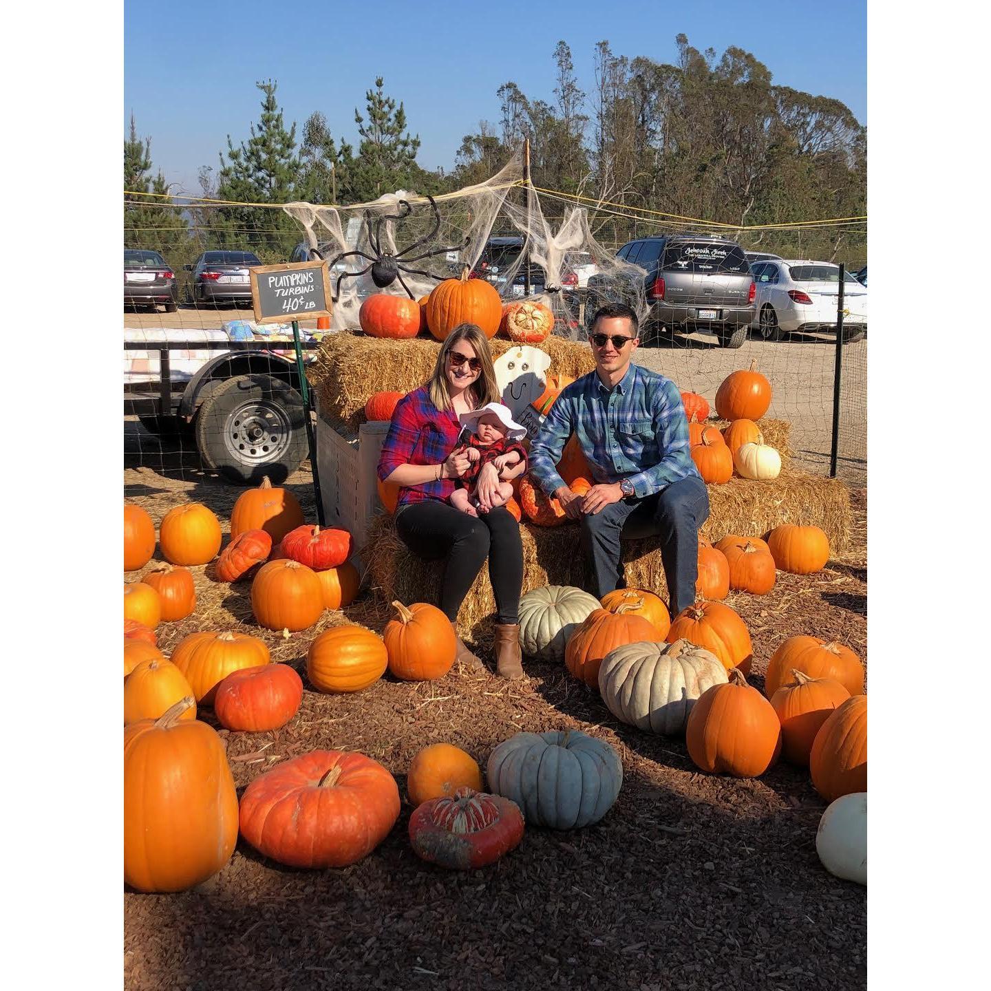 First Apple Picking Experience for Sean