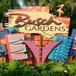 Busch Gardens Tampa Bay