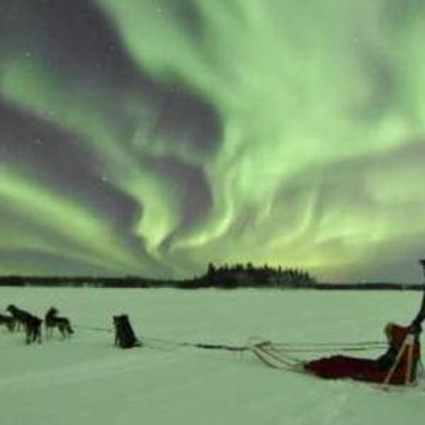 Dog Sled Adventure (2)