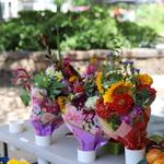 Fayetteville Farmer's Market & Historic Square
