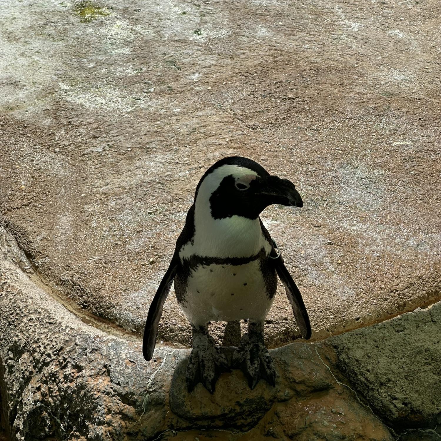 Style. Story. Stardust.