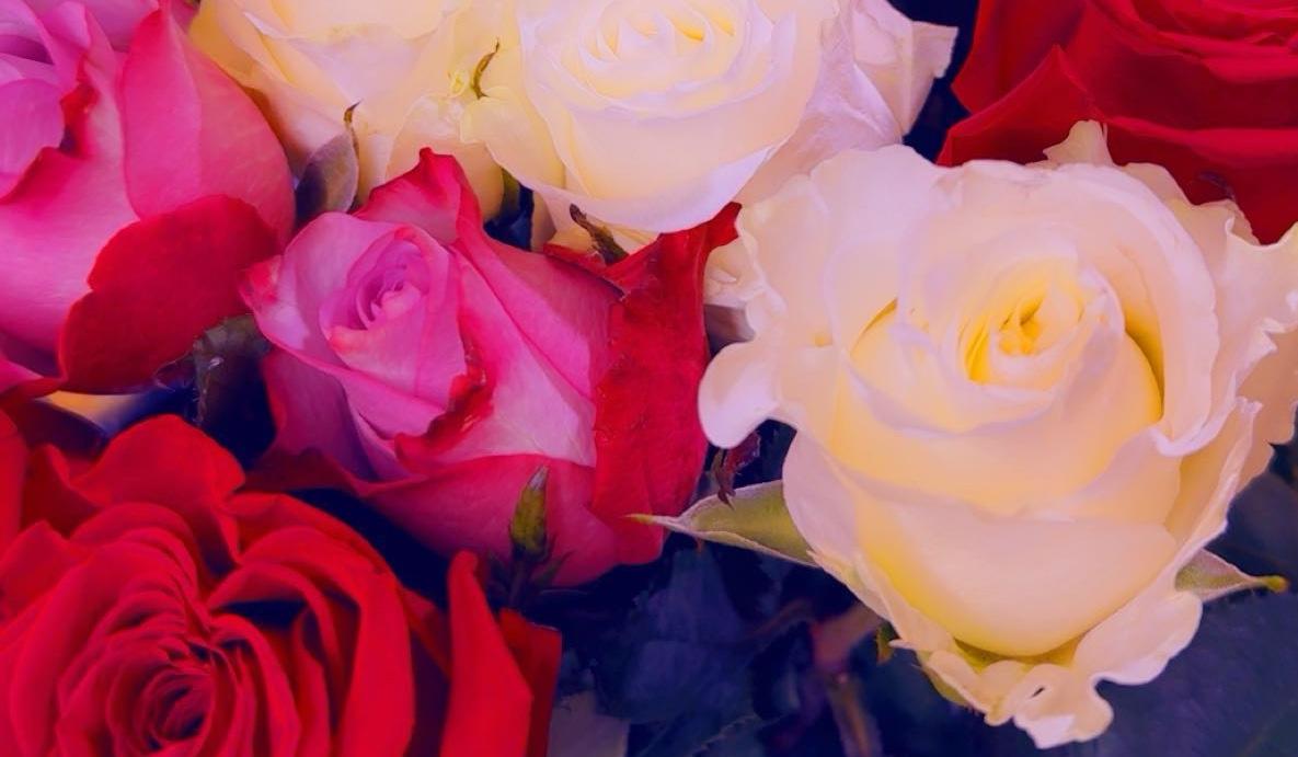 The Wedding Website of Adriana Vargas and Ivan Solis