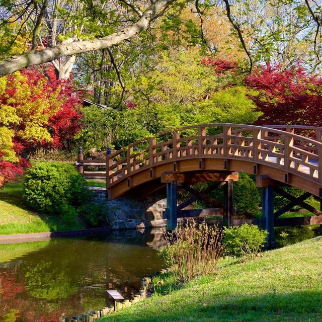 St. Louis Botanical Gardens
