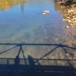 Animas River Trail