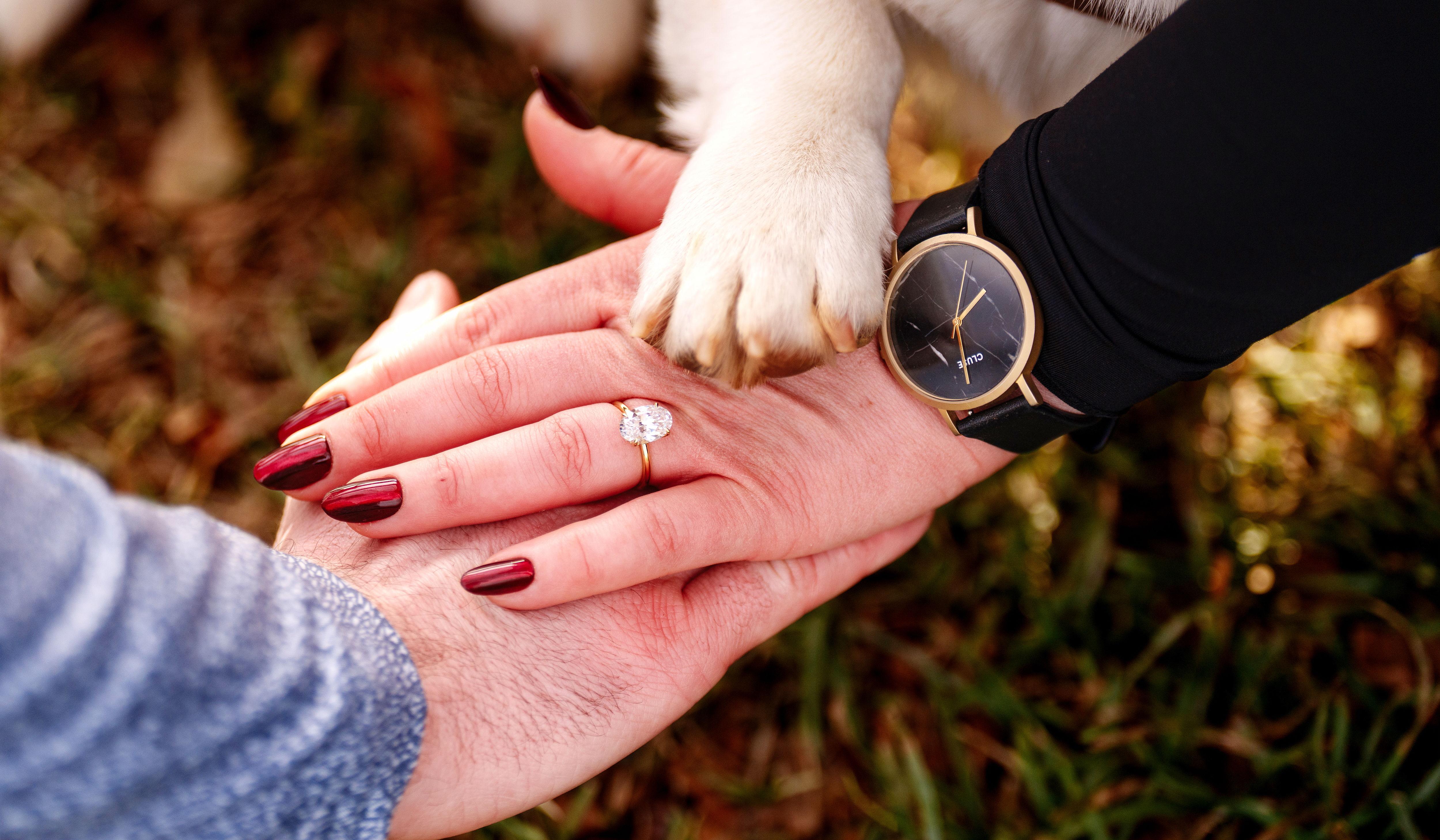 Hero Slideshow Image 4