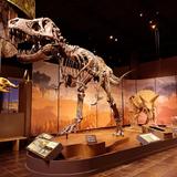 Tellus Science Museum