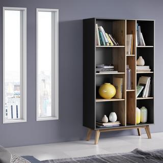 Mid- Century Modern Vandalia Bookcase
