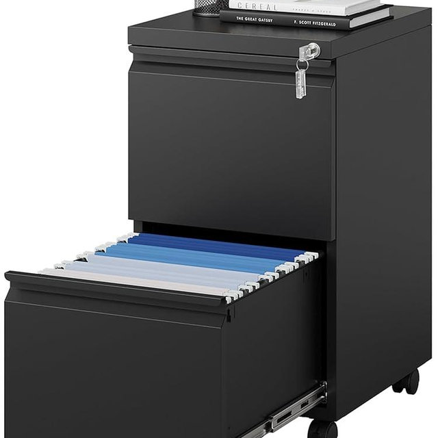 MIIIKO 2 Drawer File Cabinet on Wheels, Home Office Mobile File Drawers Under Desk, Filing Cabinets with Drawers for Legal/Letter/A4 File Folders(Black),Un-Assembled