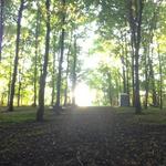 Walking Trails