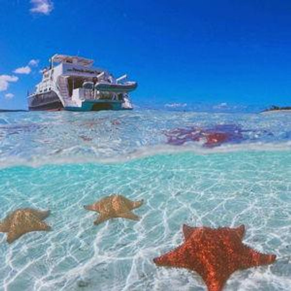 Snorkel and Lunch Cruise