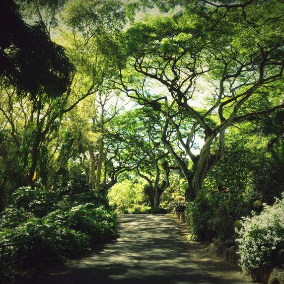 The Wedding Website of Mandy Yi and Josh Schneider