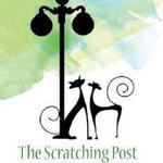 The Scratching Post Cat Cafe
