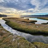 Theler Wetlands Trail