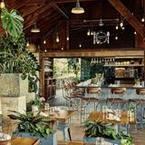 Terrain Cafe