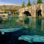 Mystic Aquarium