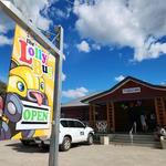 The Lolly Bug