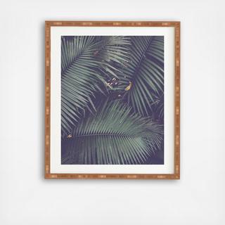 Rainforest Floor Framed Wall Art